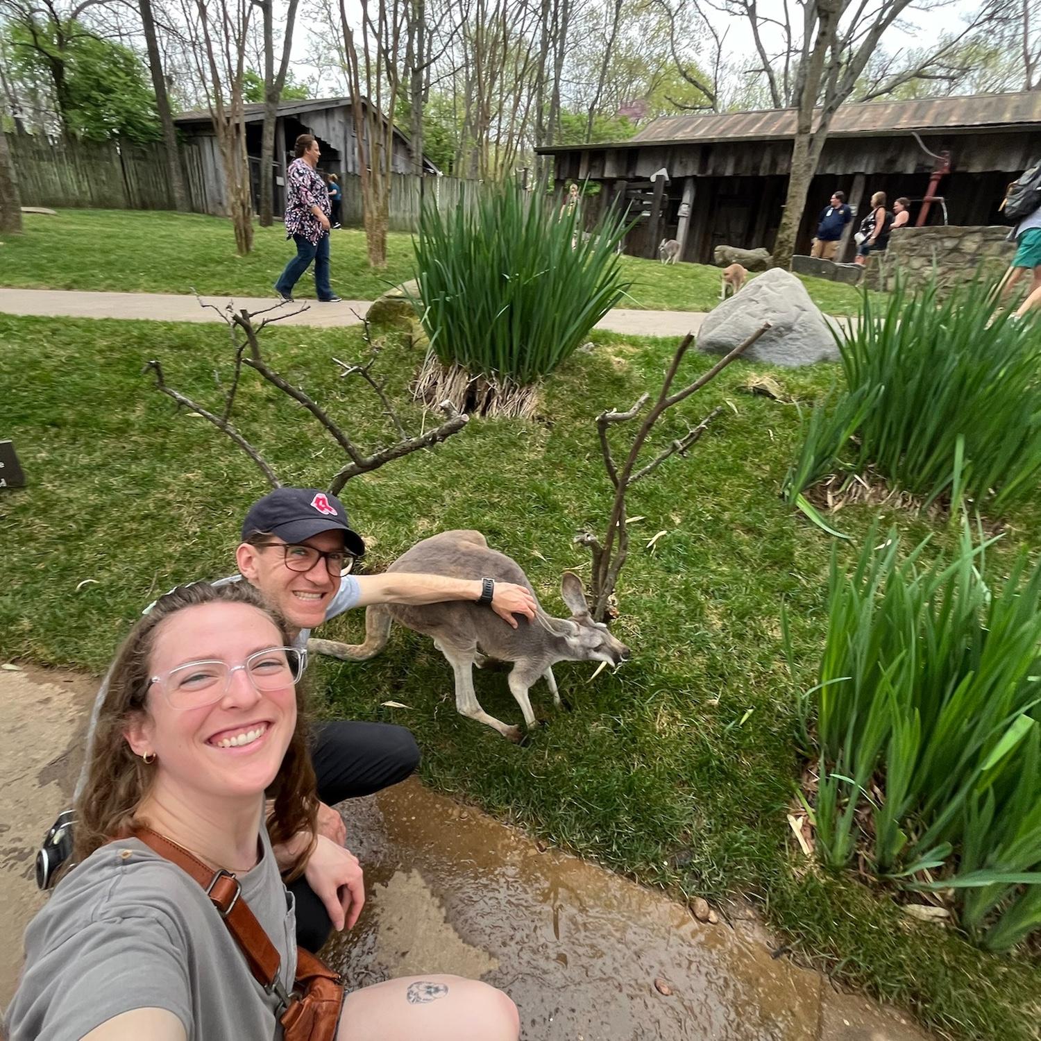 Nashville zoo kangaroos