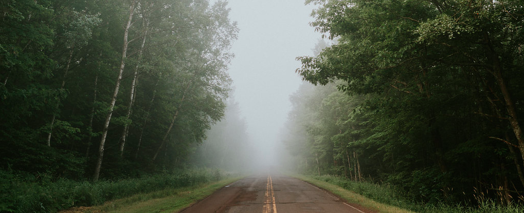 The Wedding Website of Ella Camille Budzinski and Páll Sólmundur Eydal