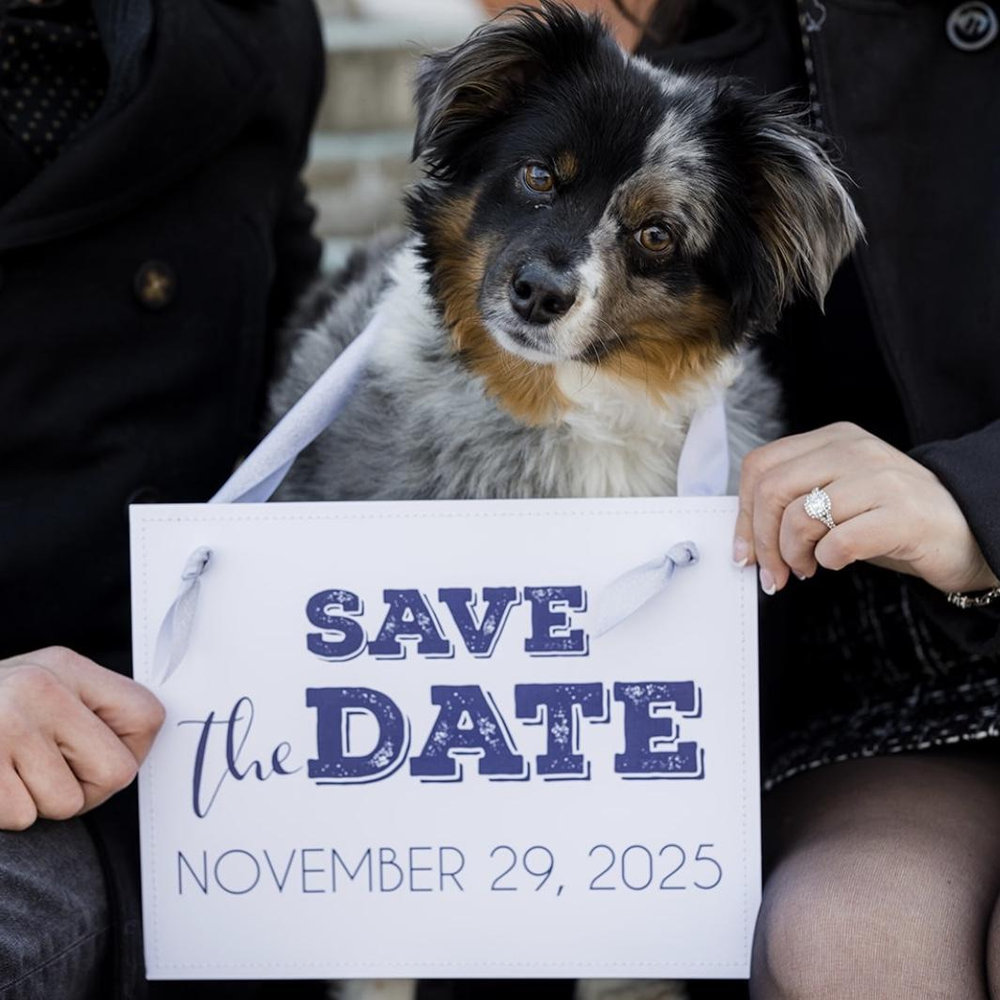 Nicole Fournaris and Vincent Costanzo's Wedding Website