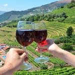 Local wineries & vineyards