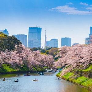 Chidorigafuchi Moat Boat Rental