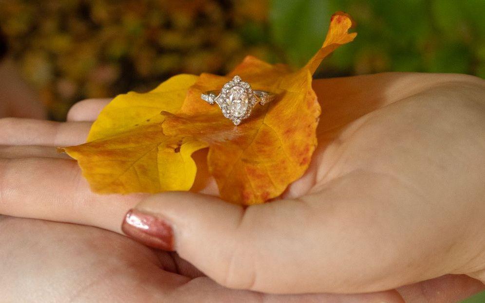 The Wedding Website of Matt Larmann and Jillaina Olander