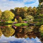 Asticou Azalea Garden