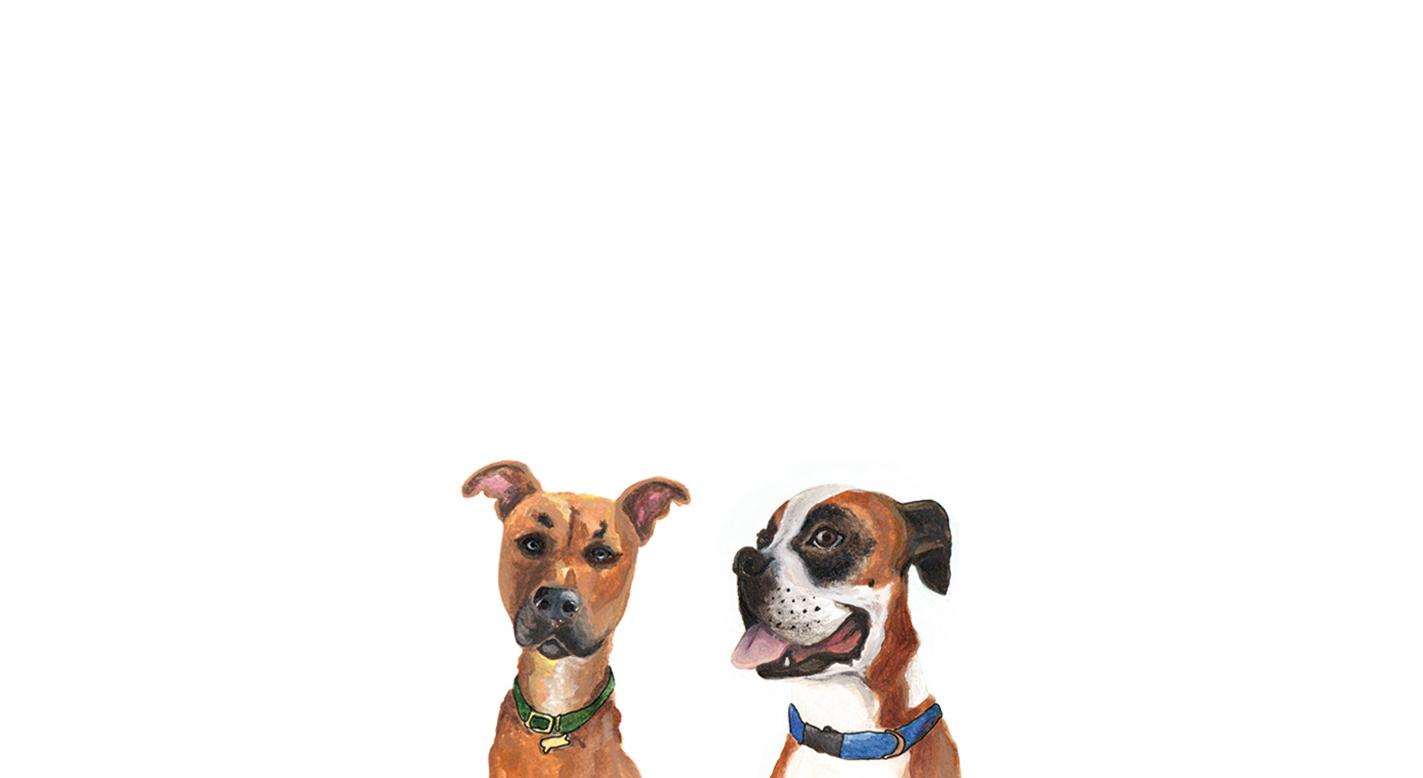 Footer image
