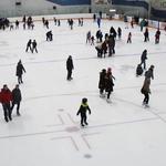 Young Arena