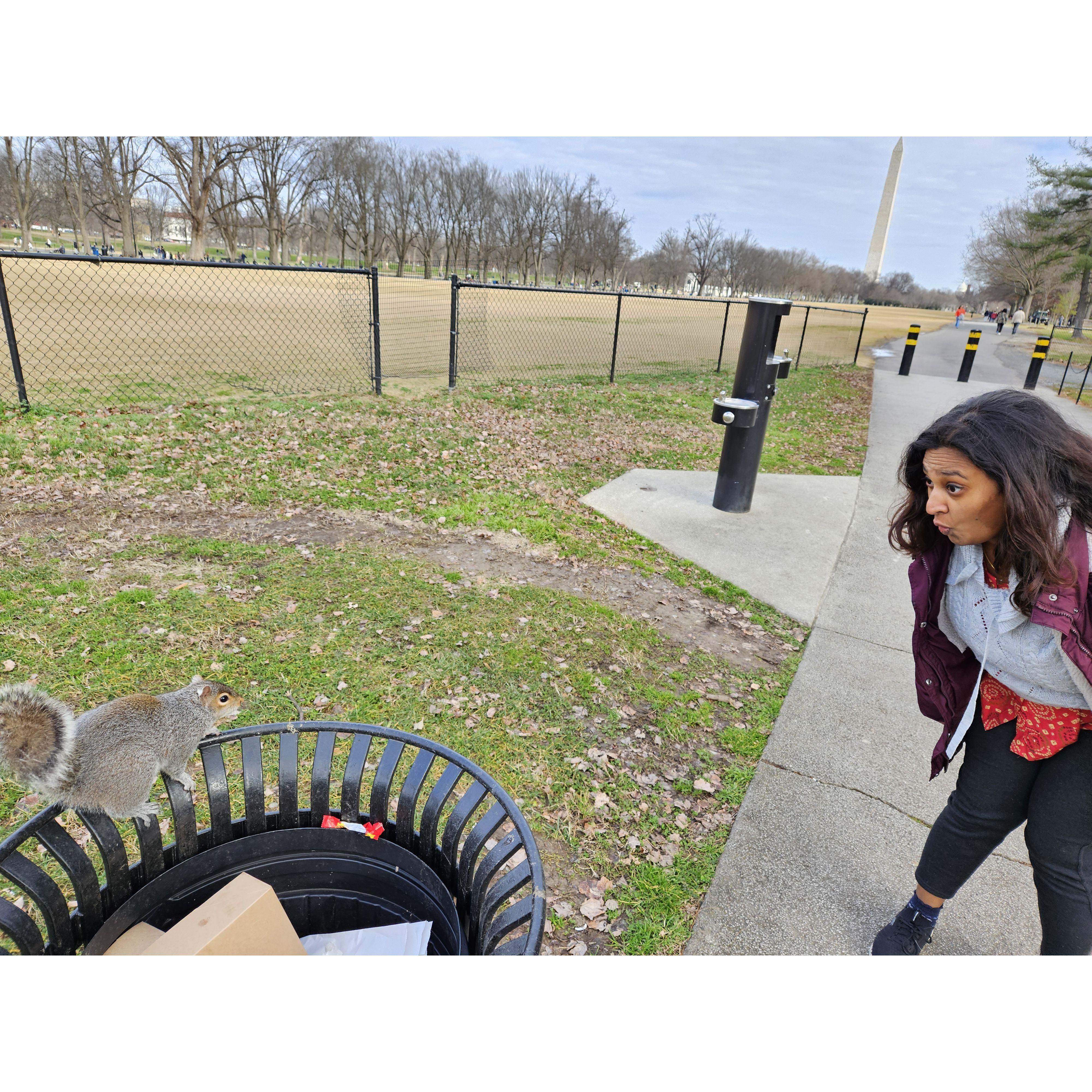 Stare contest with a Squirrel. Who won?