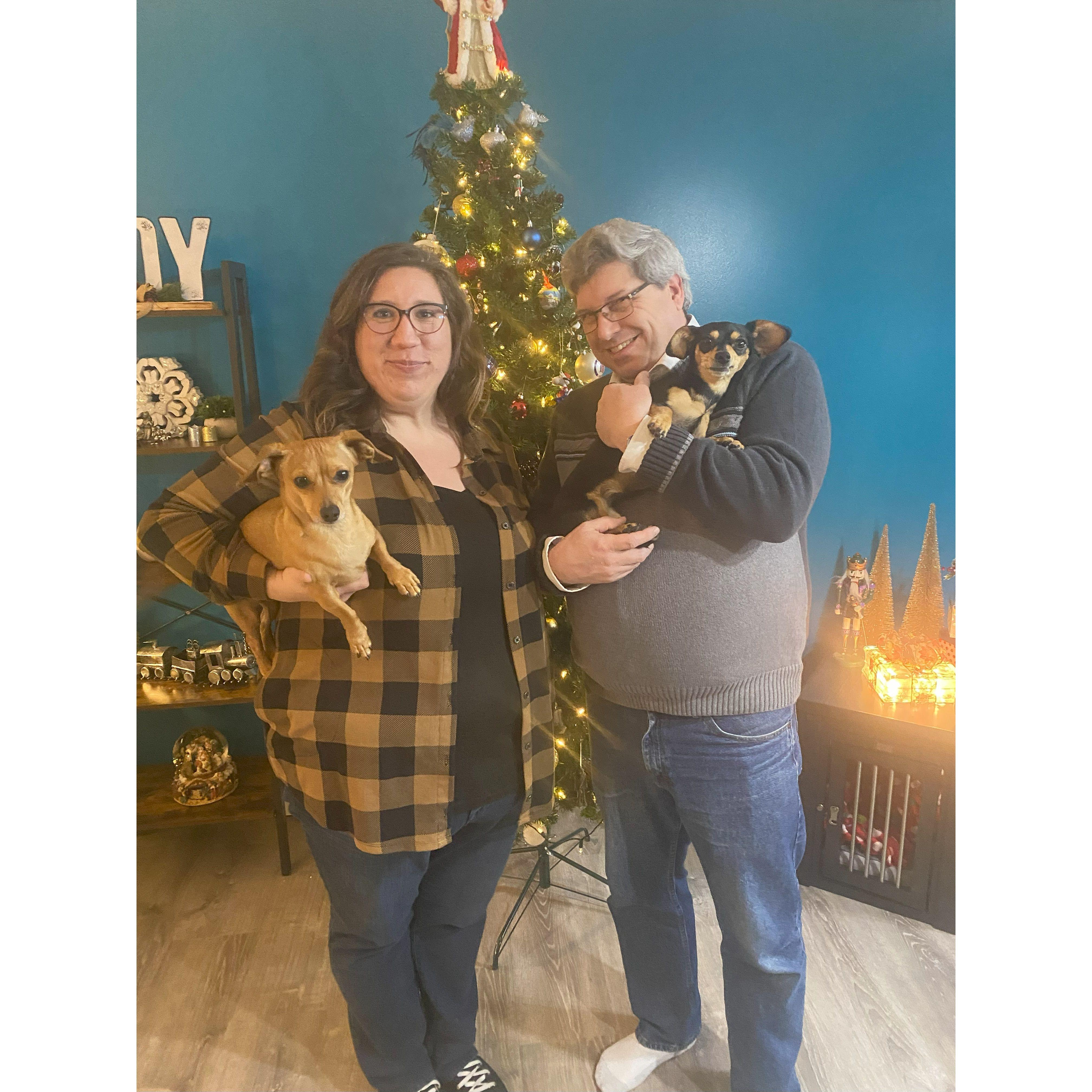 Fun holiday pic