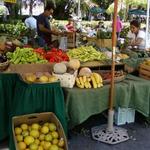 Coconut Grove Farmer's Market