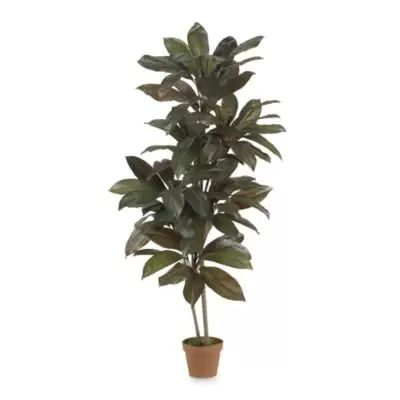 Nearly Natural Real Touch 5-Feet Cordyline Silk Plant in Green with Plastic Pot