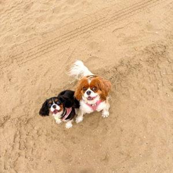 Lady & Winnie Fund