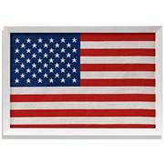 Framed Needlepoint American Flag