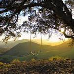 Serenity Swing Trail