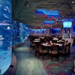 Downtown Aquarium