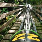 Mystic Mountain Jamaica Adventure Park, Rainforest Adventures
