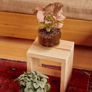 Model Three Planter