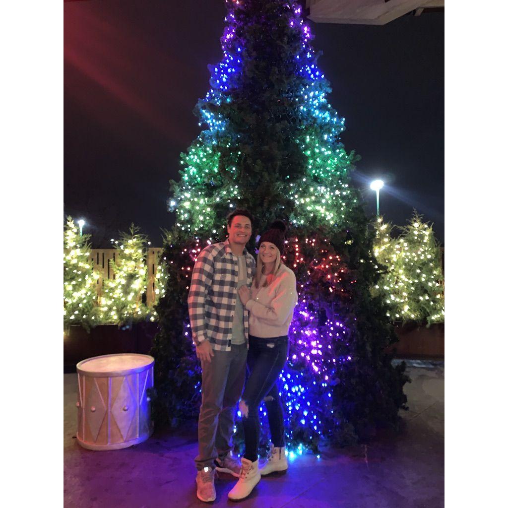 Christmas at the zoo 2021