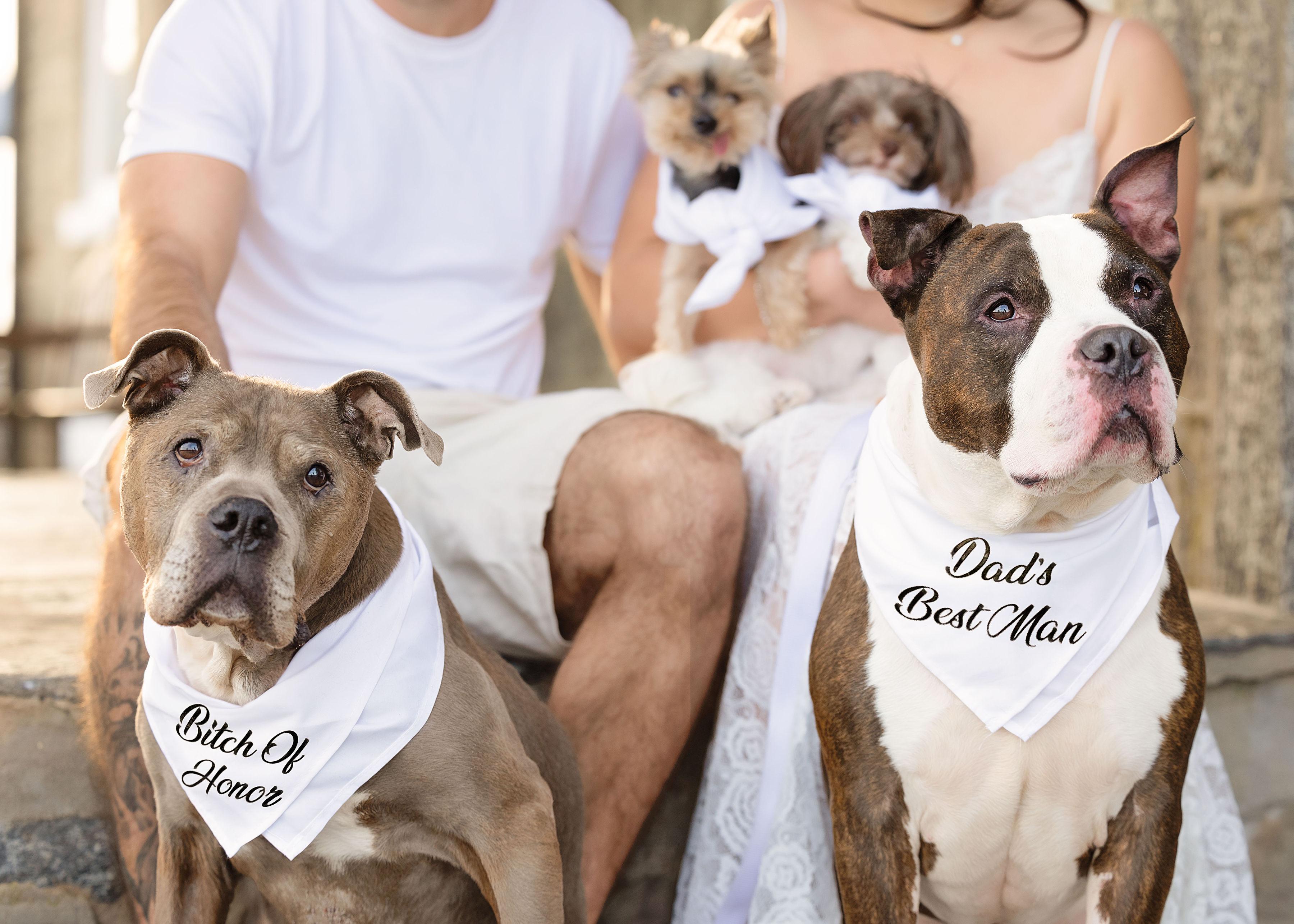 The Wedding Website of Nicole Langone and Eric Valentine