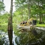 Swamp Tour