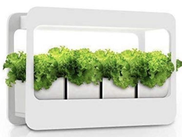 GrowLED Plant Grow Light LED Indoor Garden Light, Kitchen Garden with Timer Function, 24V Low Safe Voltage, Ideal for Plant Grow Novice Or Enthusiasts, Various Plants, DIY Decoration, White Grow Light