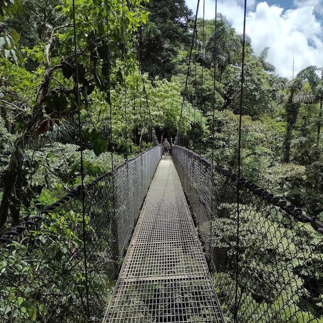 Hanging Bridges Hike through Cloud Rainforest