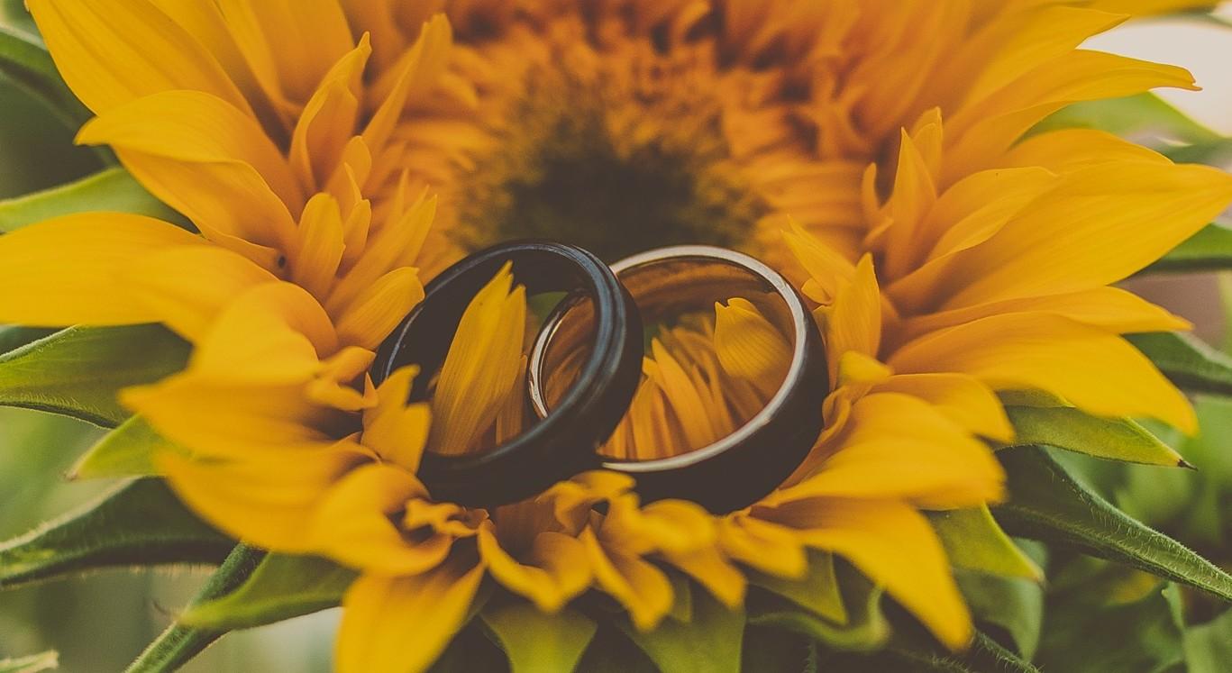 The Wedding Website of Nicholas Rusho and Jeff Ngo
