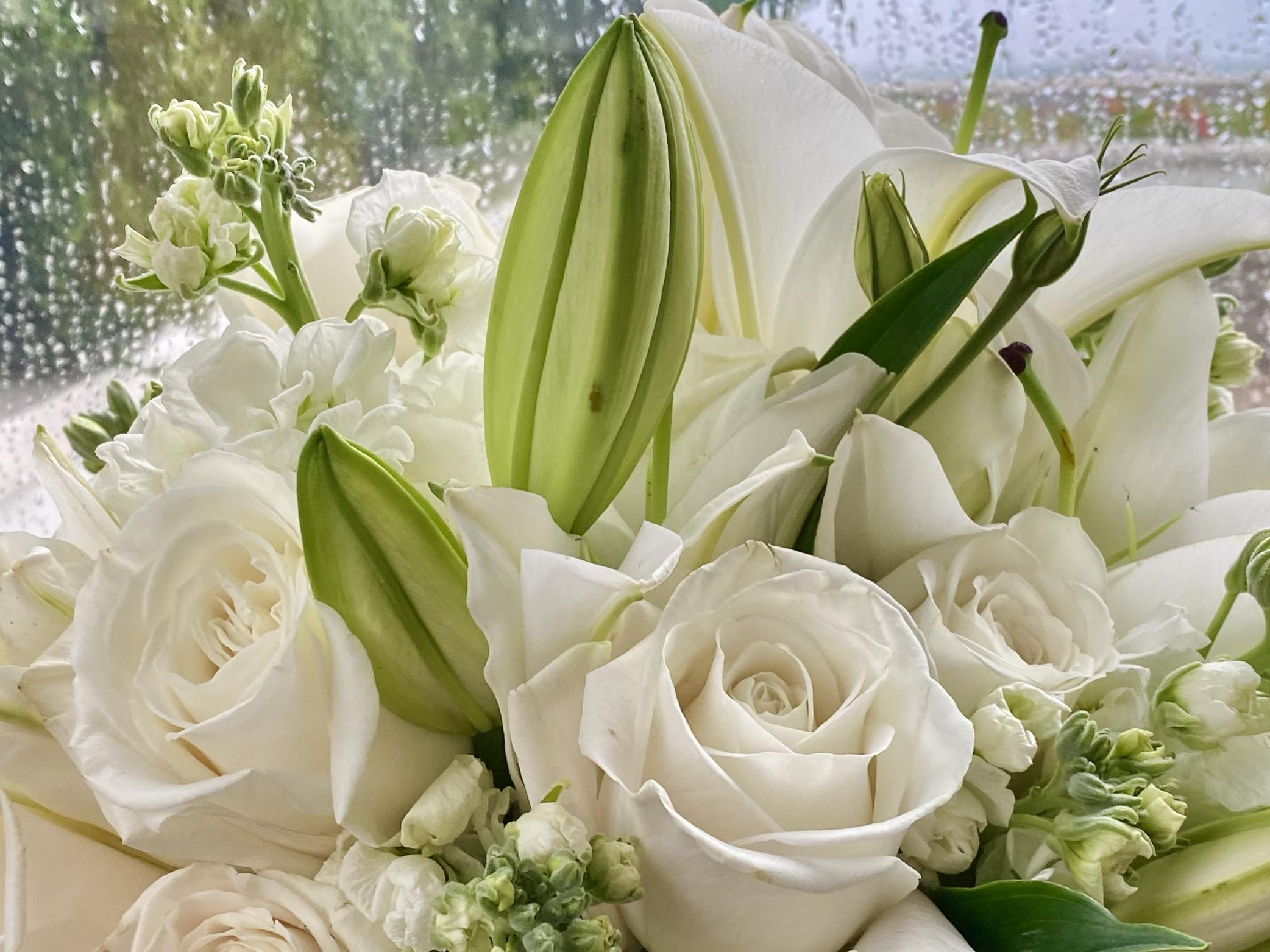 The Wedding Website of Selena De Silva and Matthew Mehlman