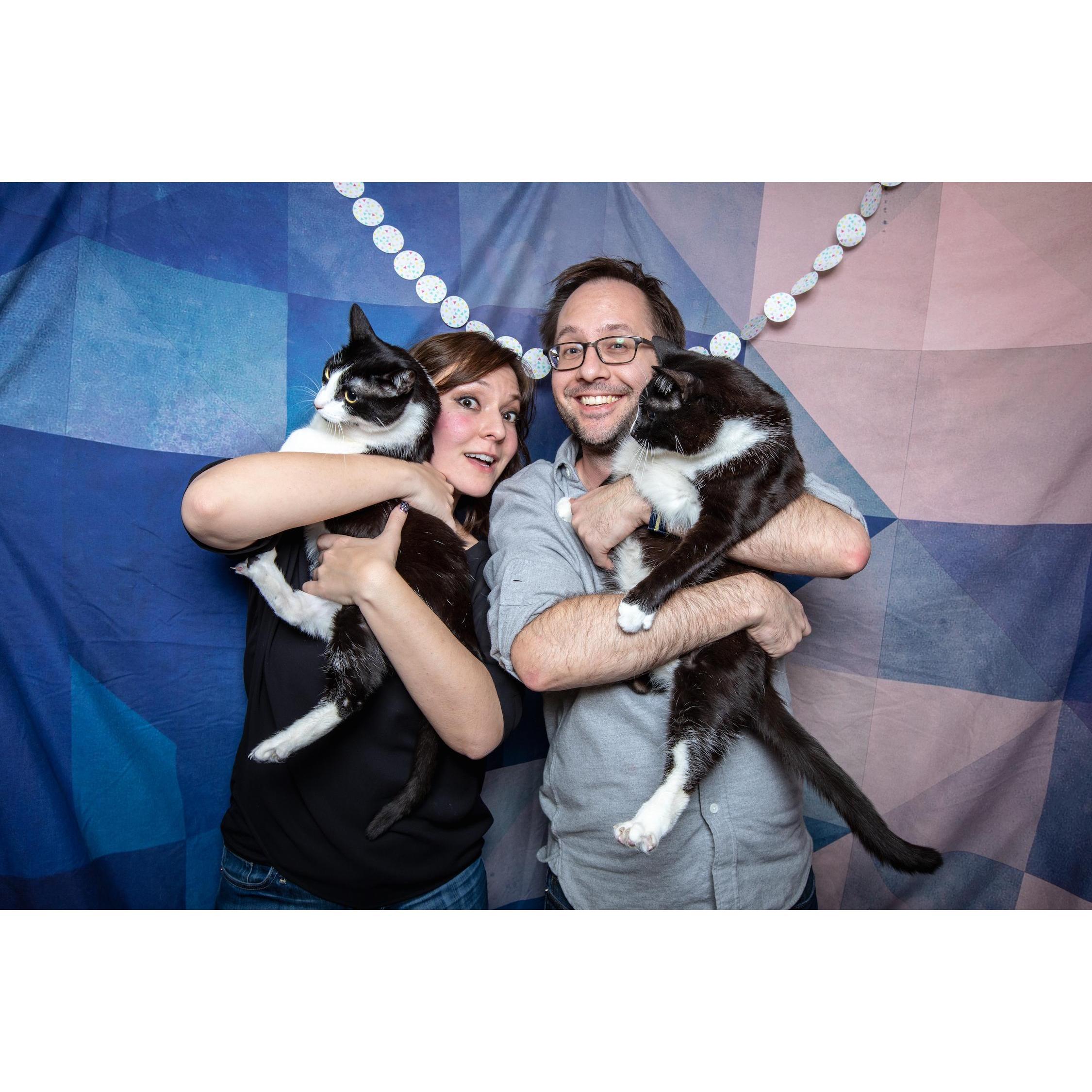Our cats love us.