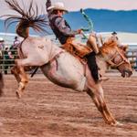 Jackson Hole Rodeo