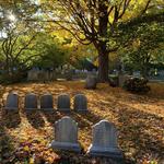 Mount Auburn Cemetery