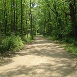 Des Plaines River Trail