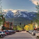 Whitefish