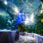 Virginia Aquarium & Marine Science Center