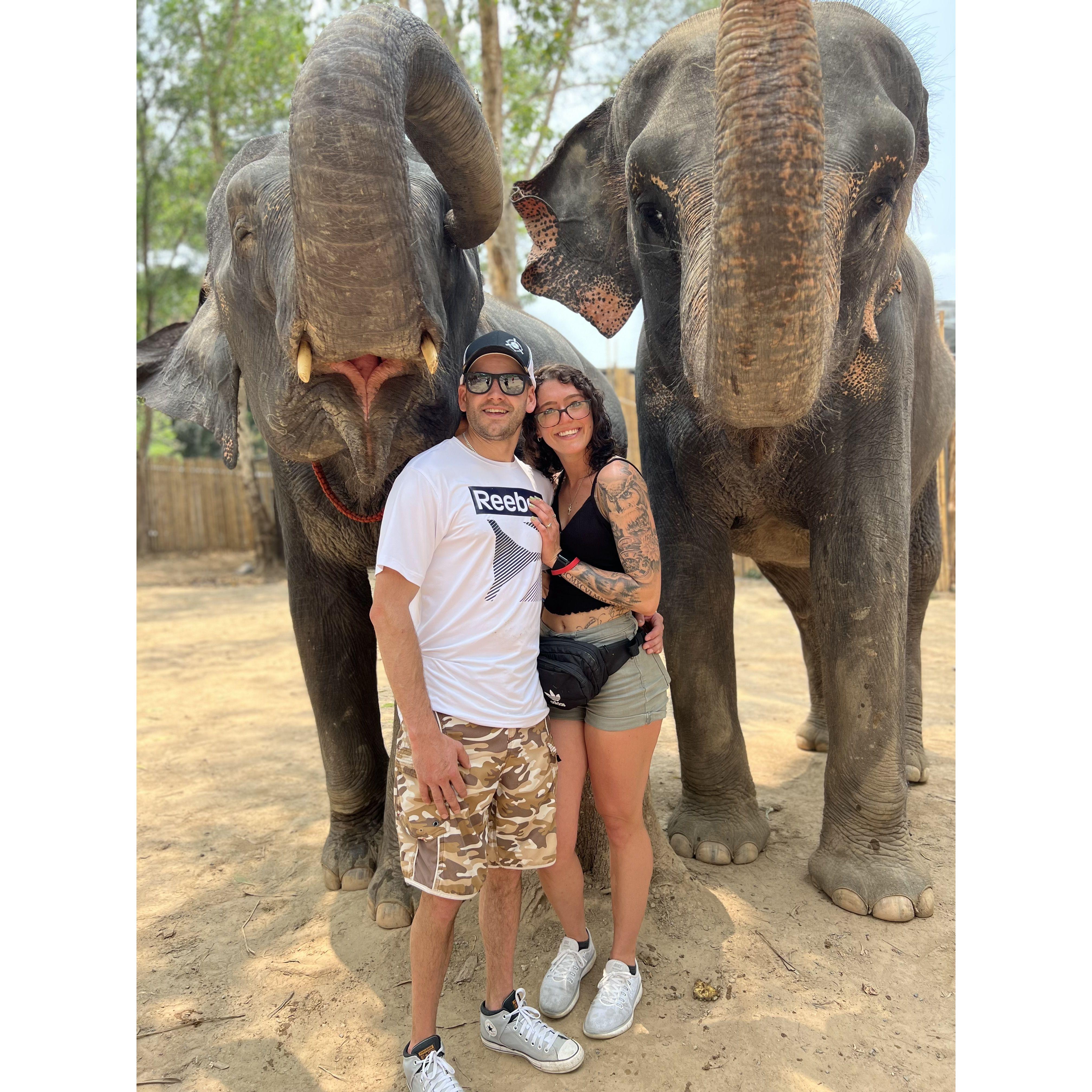 On our Thailand trip, when we got to feed elephants