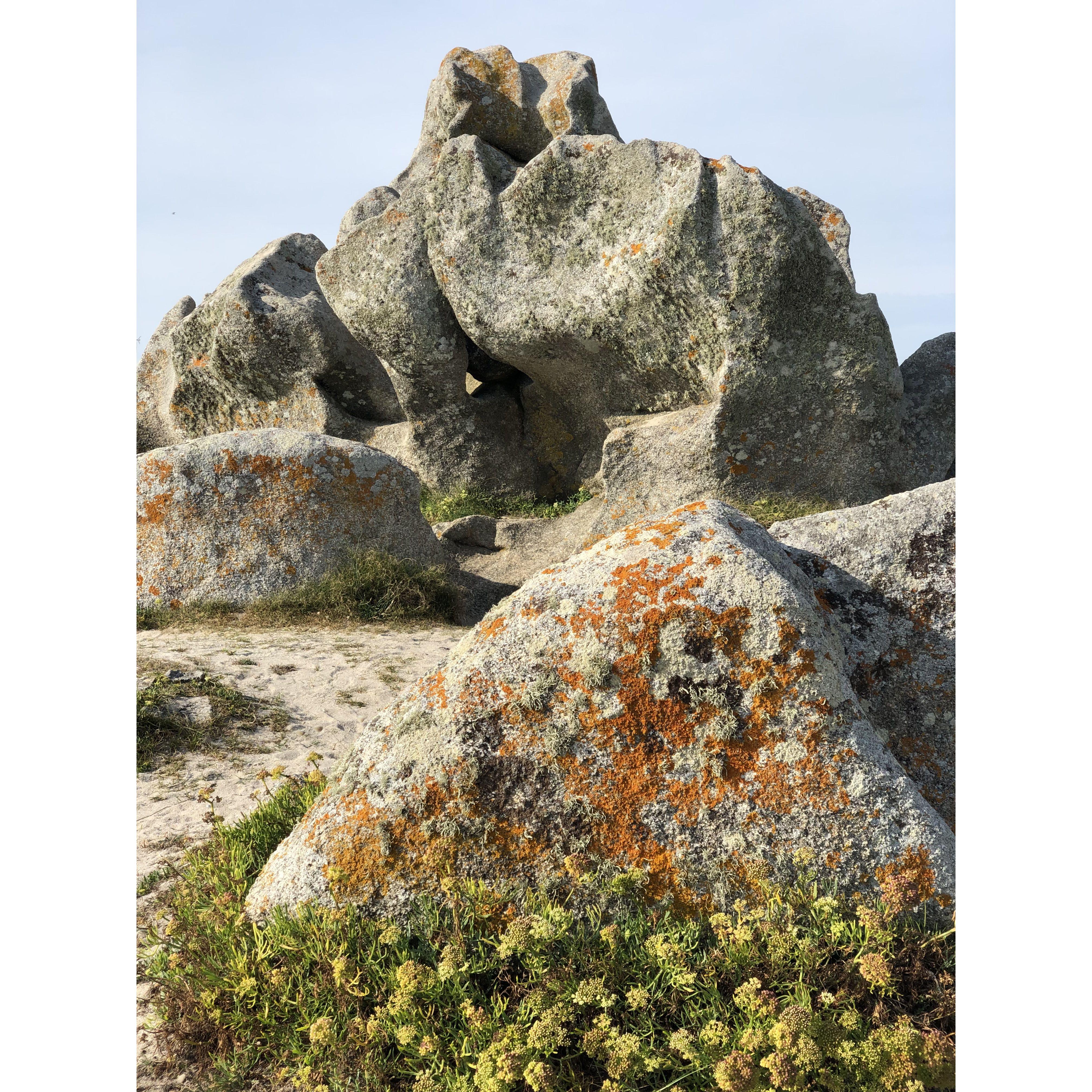 Elephant Rock