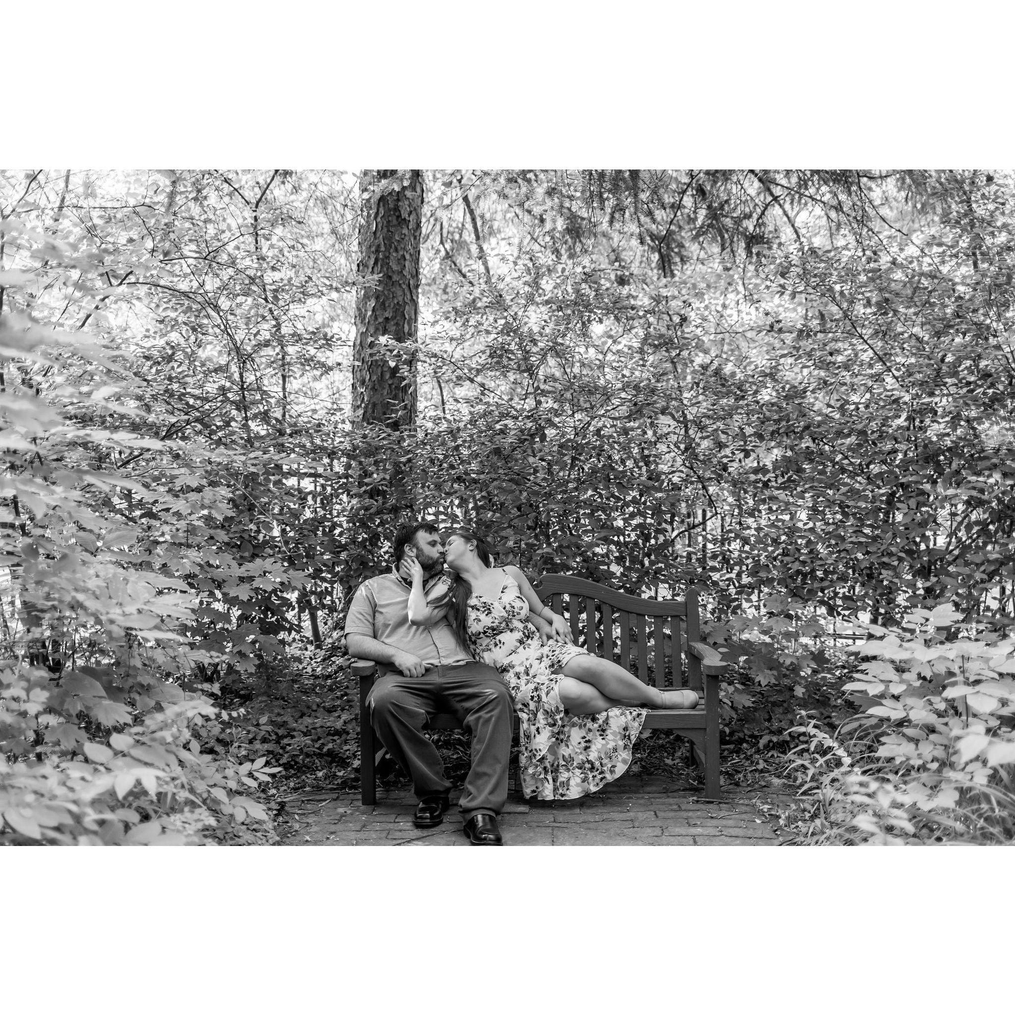 We did an Engagement photo shoot through Minnetrista's paths and gardens in June of 2023.