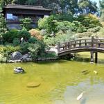 Hakone Estate and Gardens