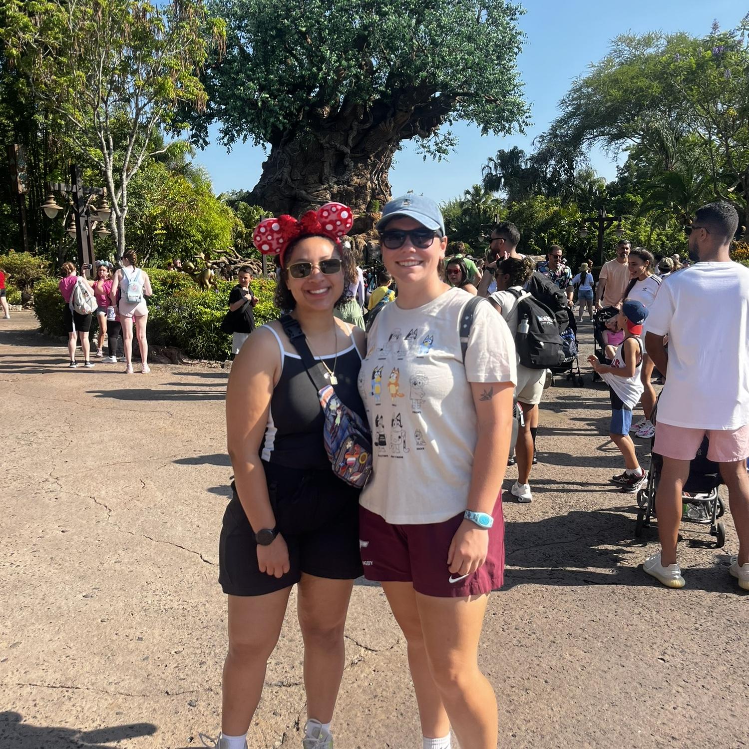 Animal Kingdom
