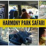 Harmony Park Safari