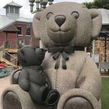 Teddy Bear Park