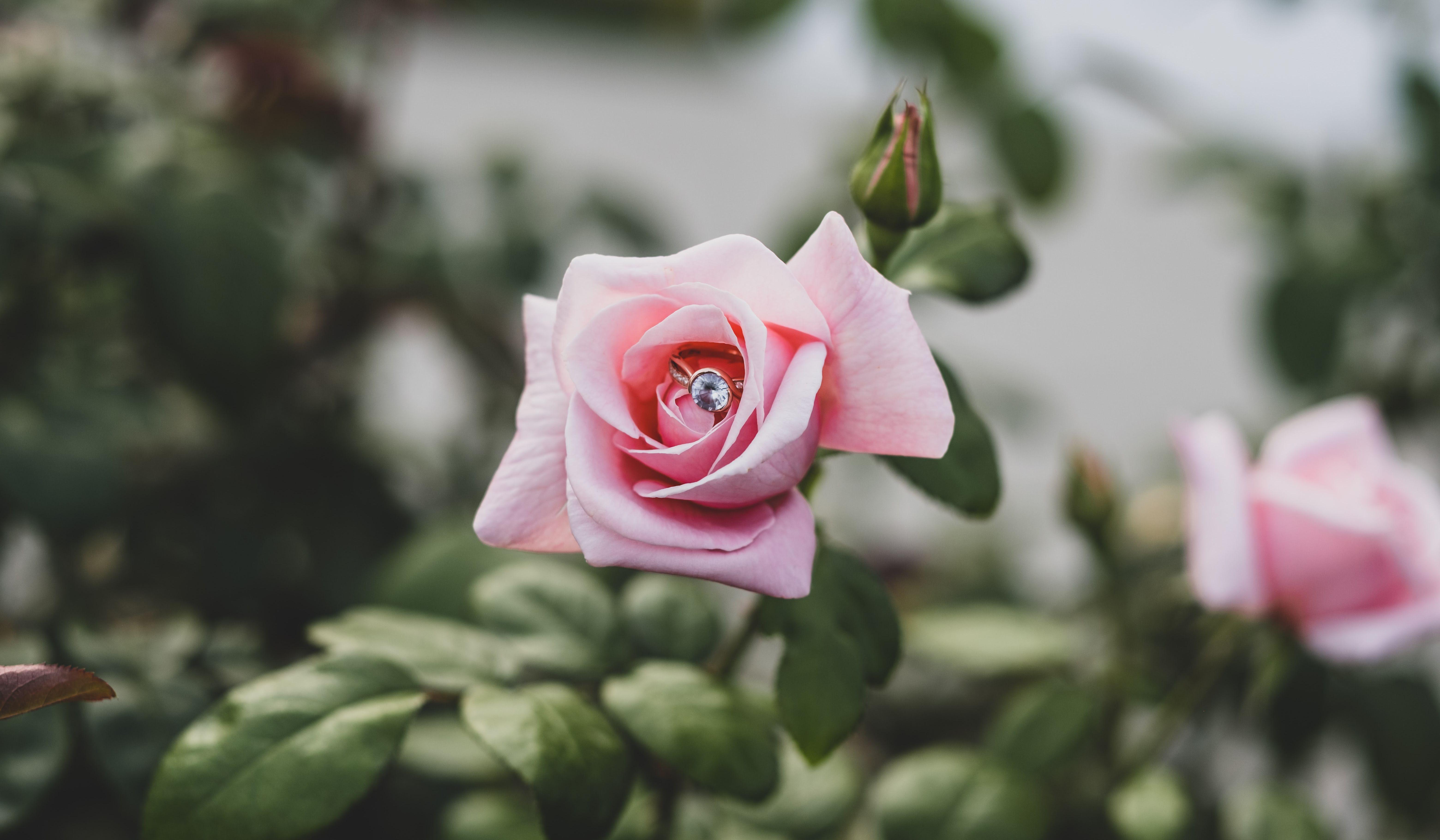 Footer image