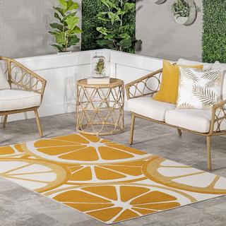 Adira Orange Slices Indoor/Outdoor Area Rug