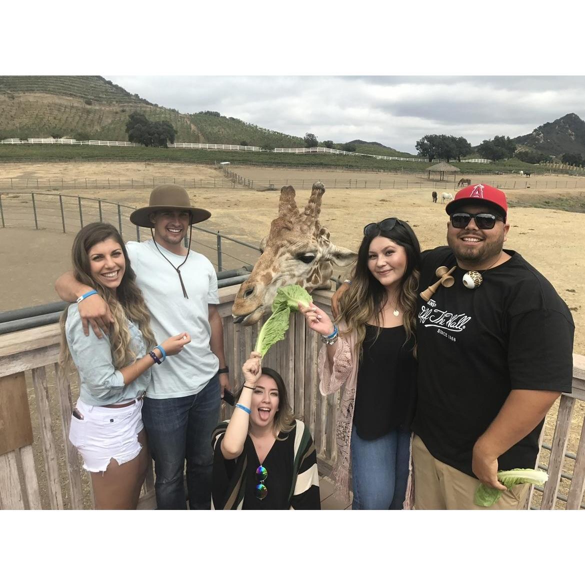 Malibu Wine Safari for my 21st birthday with our friends Titus, Jocelyn and Andrea