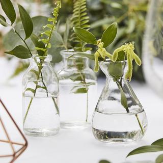 3-Pack Glass Bottle Set, Set of 3