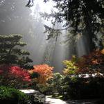 Portland Japanese Garden