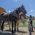 Keystone Stables