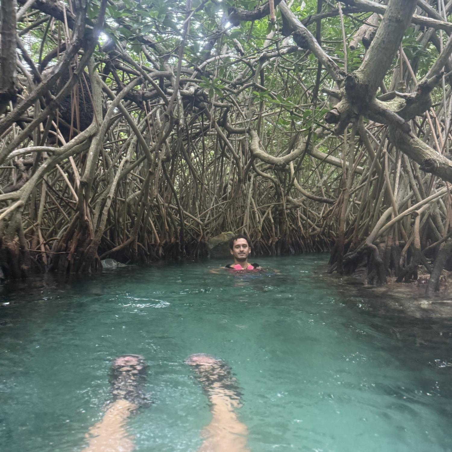 One of the river routes takes you through these mangroves. Don't worry, there are no alligators in these waters. @Xcaret Park.