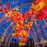 Chihuly Garden and Glass Museum