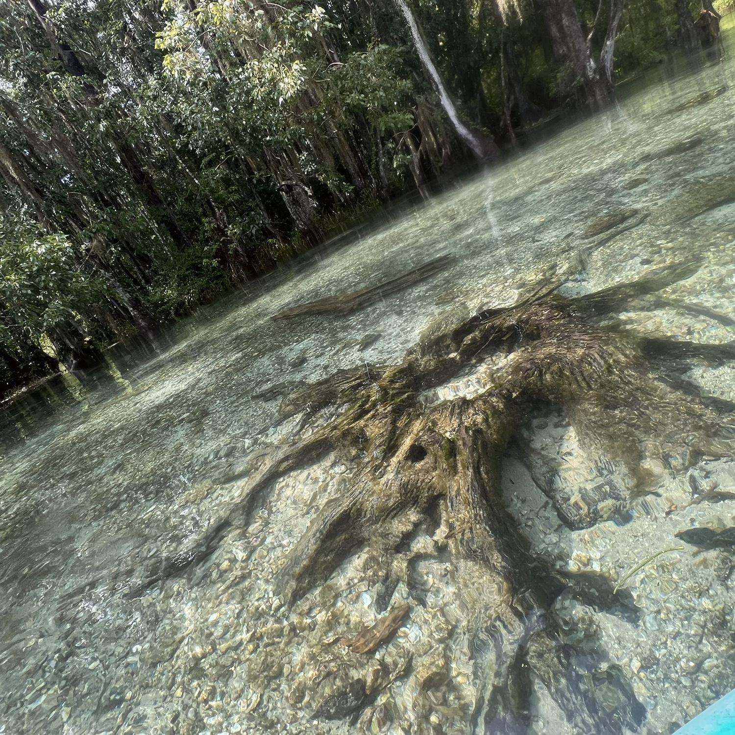 Kayaking at Rainbow River, our favorite place <3