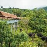 Elephant sanctuary