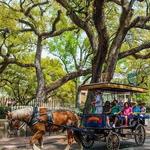 Carriage Tour